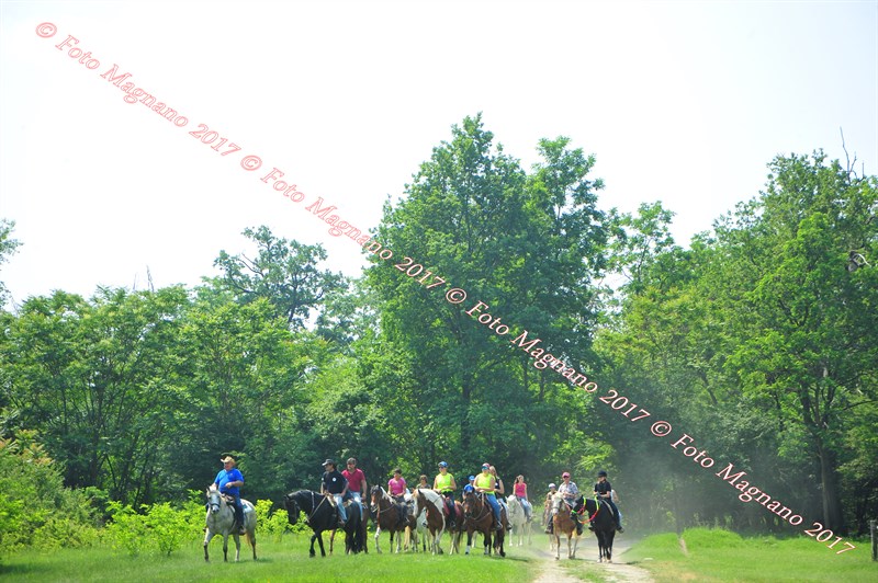 DSC_0922.JPG